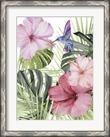 Framed Hibiscus & Hummingbird I