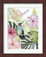 Framed Hibiscus & Hummingbird II