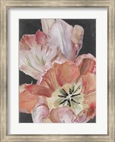 Framed Pastel Parrot Tulips I