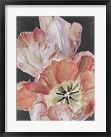 Pastel Parrot Tulips I Framed Print