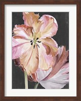 Framed Pastel Parrot Tulips II