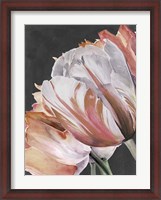 Framed Pastel Parrot Tulips III