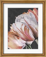 Framed Pastel Parrot Tulips III