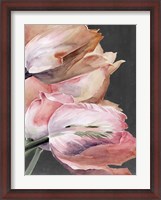 Framed Pastel Parrot Tulips IV