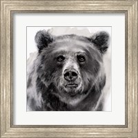 Framed Bear Grin II