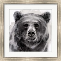 Framed Bear Grin II