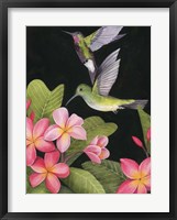 Framed In the Plumeria II