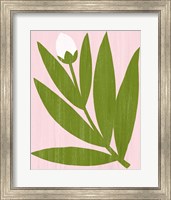 Framed Flower Cutting IV