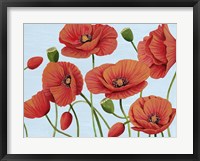 Framed Poppy Topple III