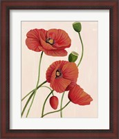 Framed Soft Coral Poppies I