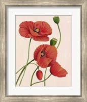 Framed Soft Coral Poppies I