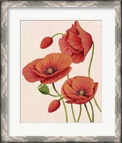 Framed Soft Coral Poppies II