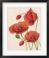 Framed Soft Coral Poppies II