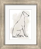 Framed Greyhound Sketch I