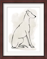 Framed Greyhound Sketch I