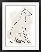 Framed Greyhound Sketch I