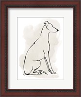 Framed Greyhound Sketch I