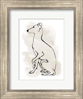 Framed Greyhound Sketch II