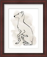 Framed Greyhound Sketch II
