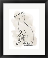 Framed Greyhound Sketch II