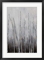 Framed Bare Tree Tops I