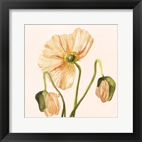 Framed Highpoint Poppies I