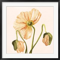 Framed Highpoint Poppies I