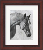 Framed Cavallo I