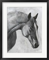 Framed Cavallo I