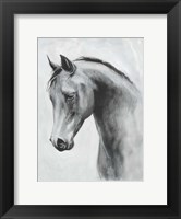Framed Cavallo II