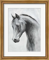 Framed Cavallo II