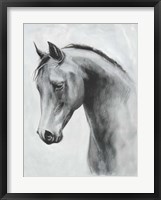 Framed Cavallo II