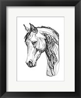 Framed Equine Contour II