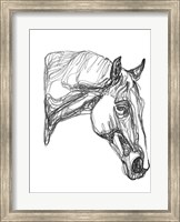 Framed Equine Contour III