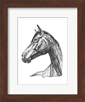 Framed Equine Contour IV