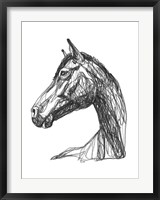 Framed Equine Contour IV