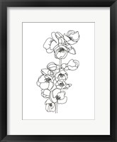 Framed Quince Blossom Contour II