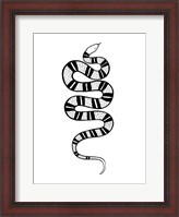 Framed Epidaurus Snake IV