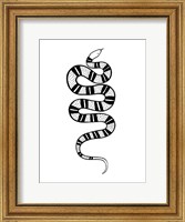 Framed Epidaurus Snake IV