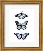 Framed Blue Butterfly Trio II