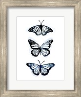 Framed Blue Butterfly Trio II