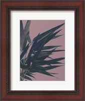 Framed Bamboo Pink I