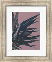 Framed Bamboo Pink I