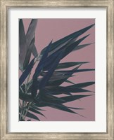 Framed Bamboo Pink I