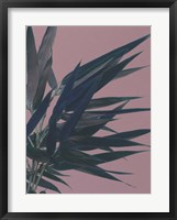 Framed Bamboo Pink I