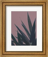 Framed Bamboo Pink II