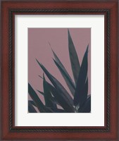 Framed Bamboo Pink II