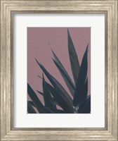 Framed Bamboo Pink II