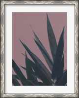 Framed Bamboo Pink II