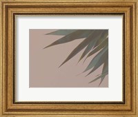 Framed Bamboo Pink III